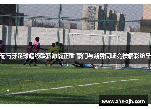 葡萄牙足球超级联赛激战正酣 豪门与新秀同场竞技精彩纷呈